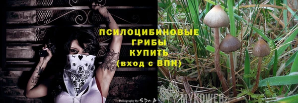 гашик Алексеевка