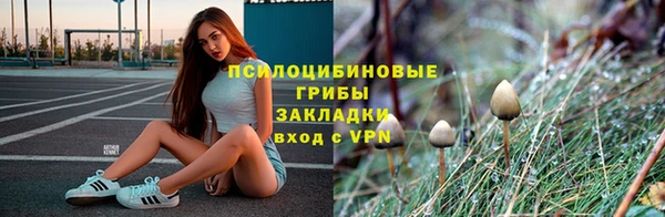 гашик Алексеевка