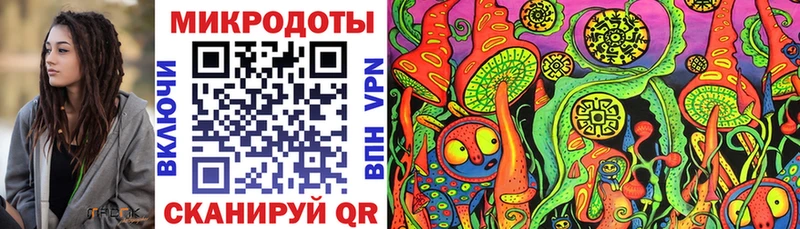 Галлюциногенные грибы Cubensis  Сосновый Бор 