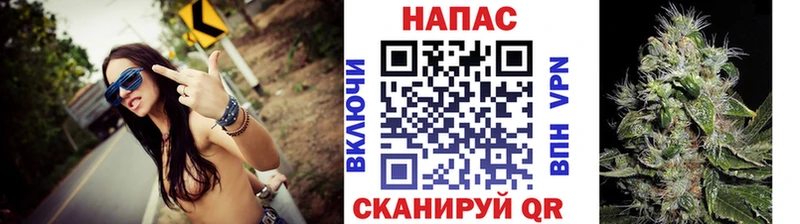 Канабис Bruce Banner Сосновый Бор